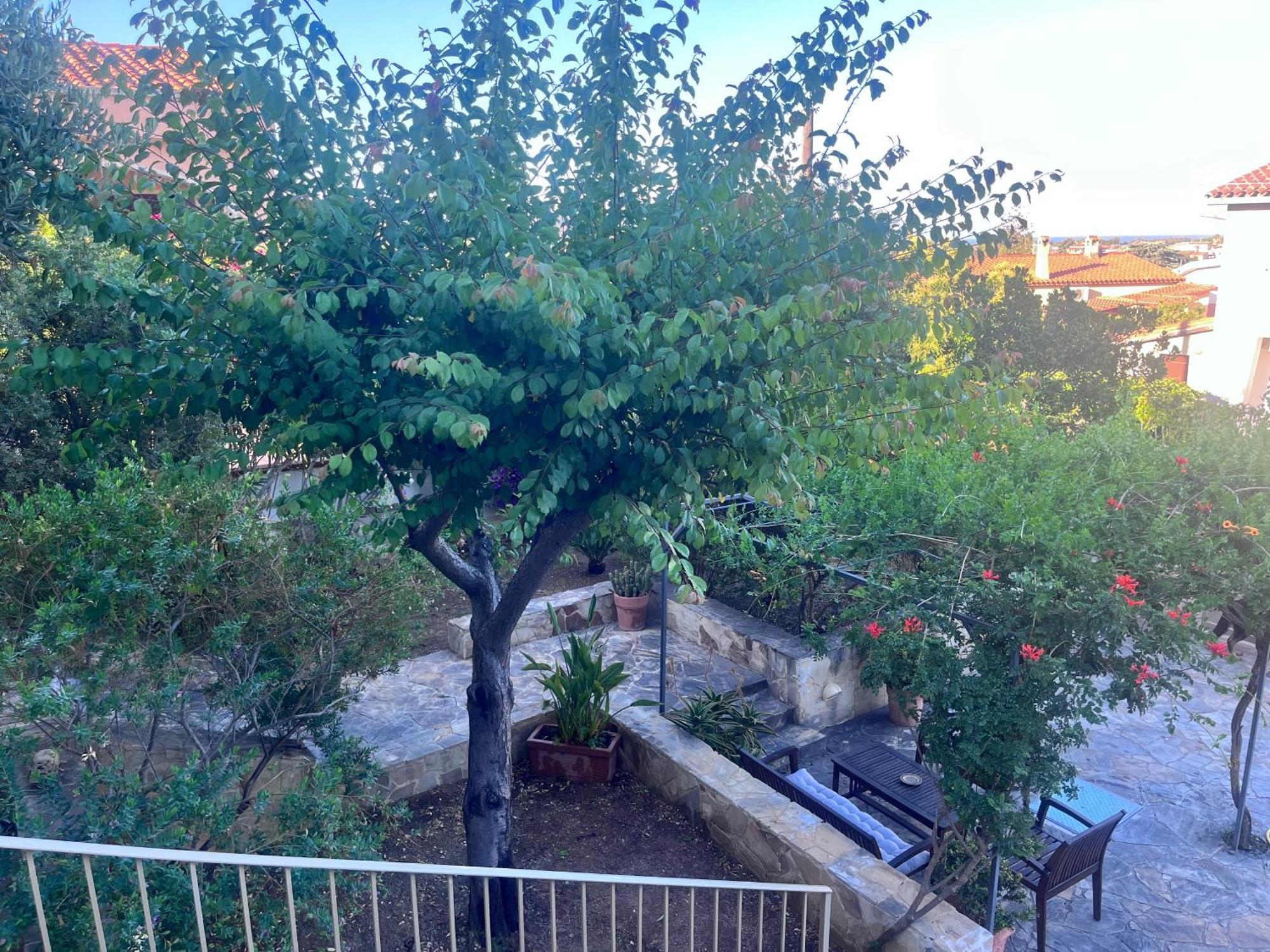 Villa Fatta Di Sogni Pula Kültér fotó